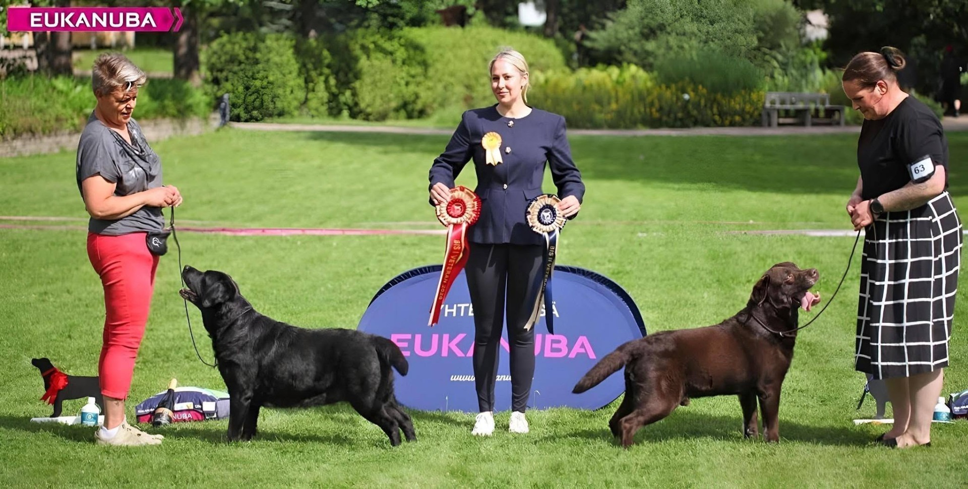 VETERAN BEST IN SHOW I & II (Club Show Labrador Retriever of Finland, Espoo 25.07.26)