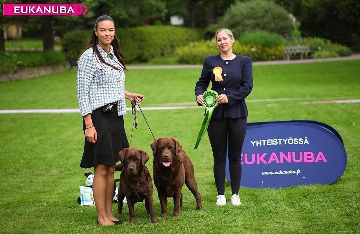BEST IN SHOW COUPLE (Club Show Labrador Retriever of Finland, Espoo 25.07.26)